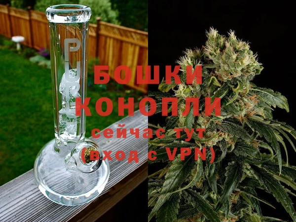 spice Абаза